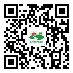 Mobile Official Website